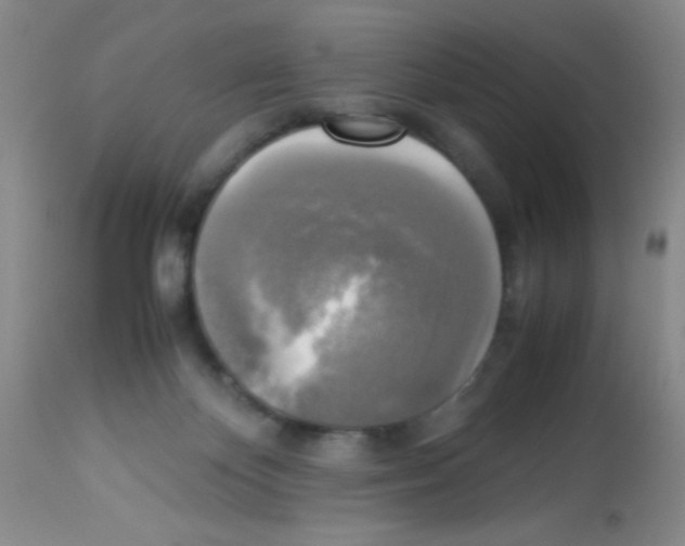 X0000113220124200910221133