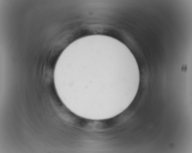 X0000113220125200910221133