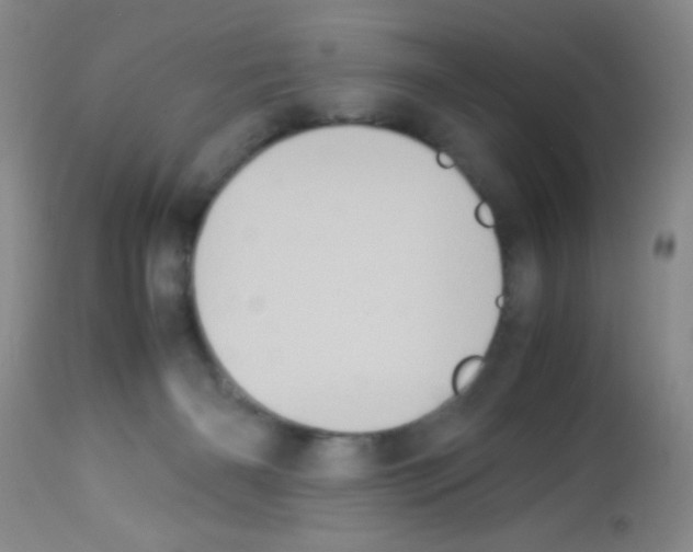X0000113220126200910221133