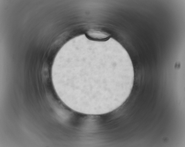 X0000113220128200910221133