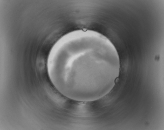 X0000113220130200910221133