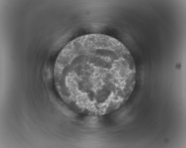 X0000113220131200910221133