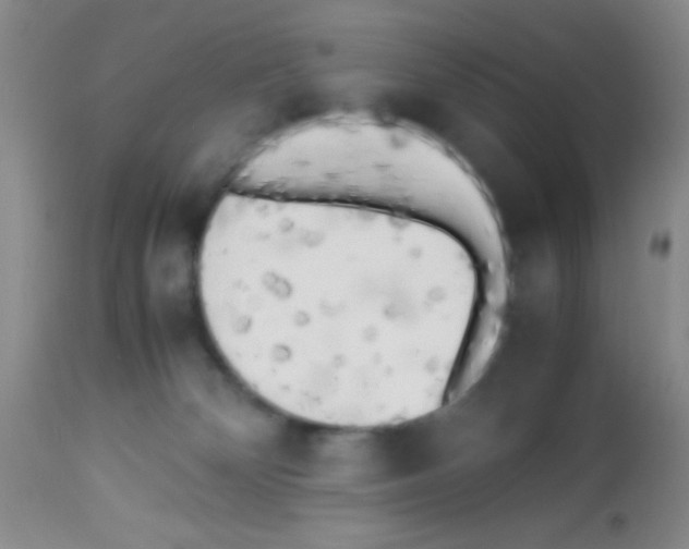 X0000113220132200910221133