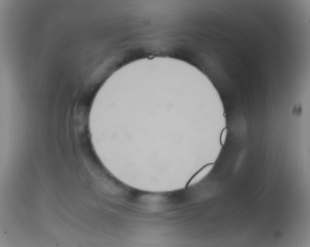 X0000113220133200910221133