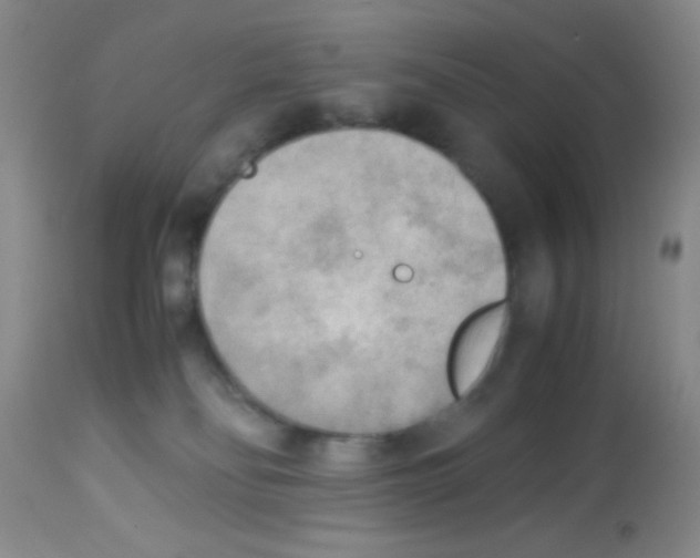 X0000113220134200910221133