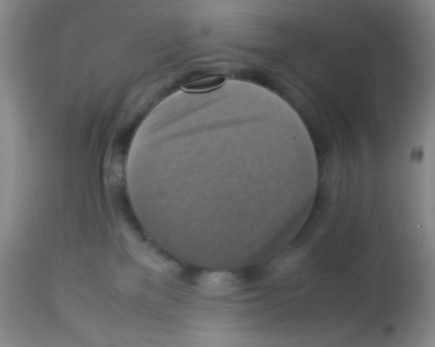 X0000113220137200910221133