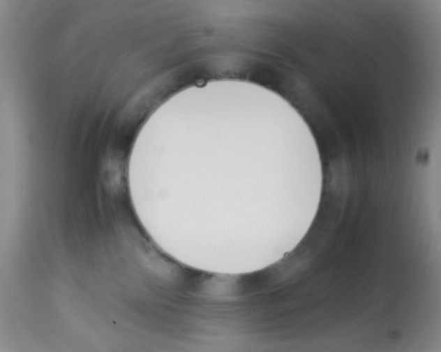 X0000113220138200910221133