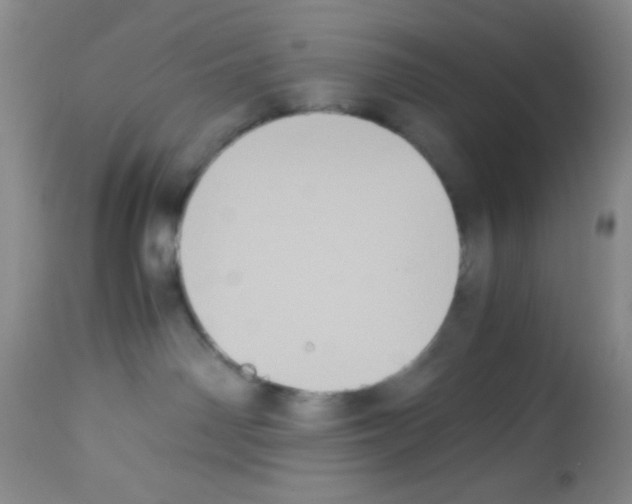 X0000113220142200910221133