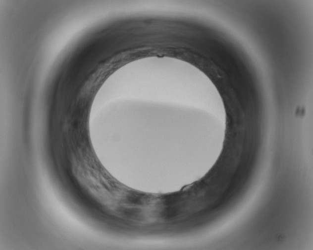 X0000113220143200910221133