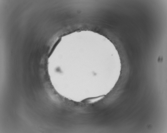 X0000113220144200910221133