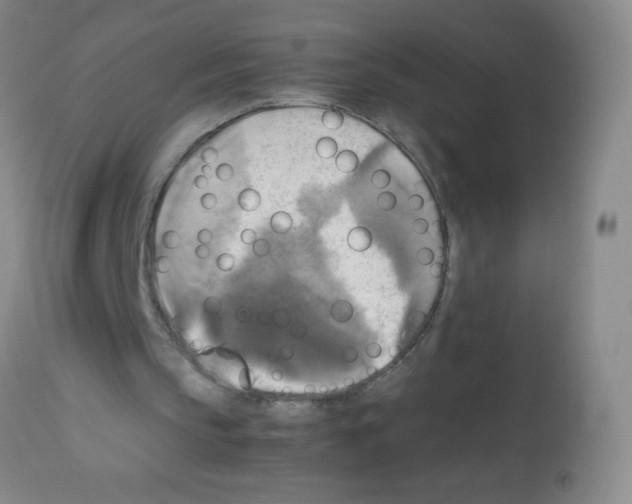 X0000113220145200910221132