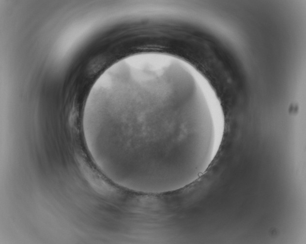 X0000113220146200910221132