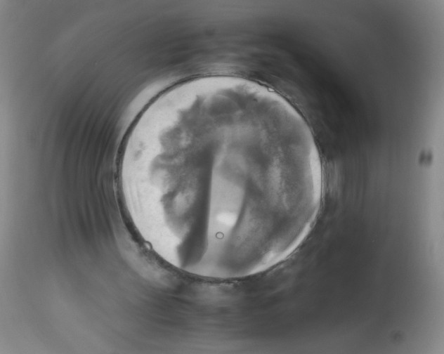 X0000113220147200910221132