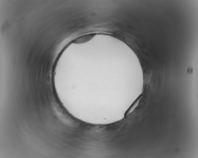 X0000113220148200910221132