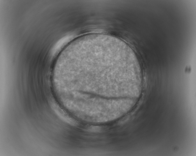 X0000113220149200910221132