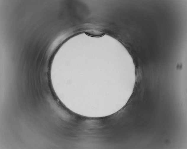 X0000113220150200910221132
