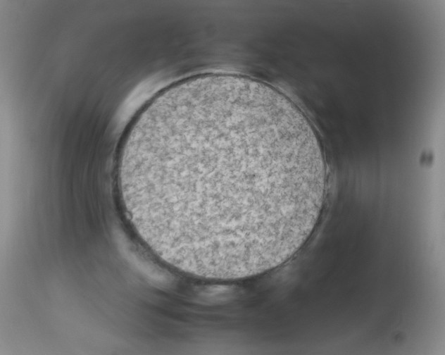 X0000113220151200910221132