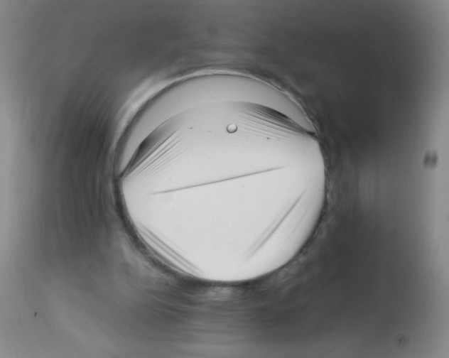 X0000113220152200910221132