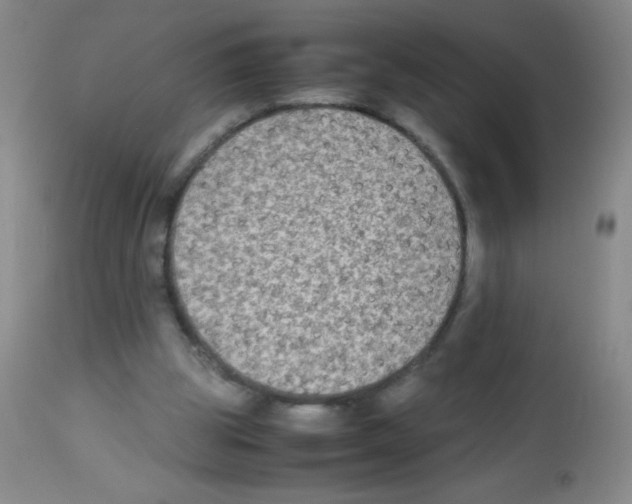 X0000113220153200910221132