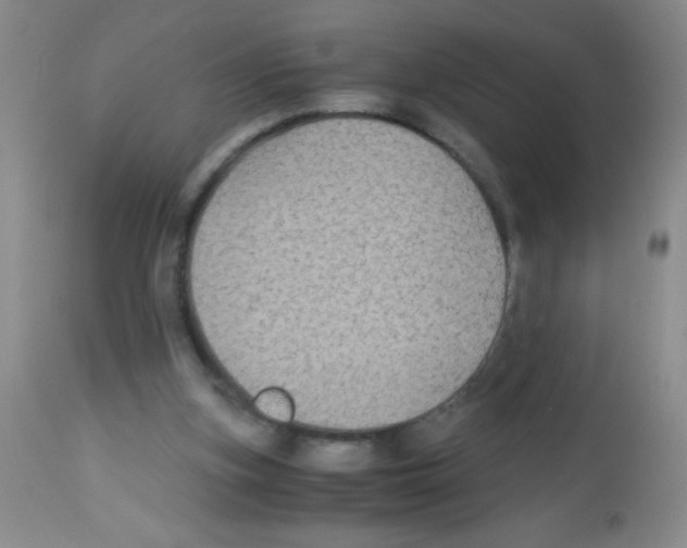 X0000113220155200910221132