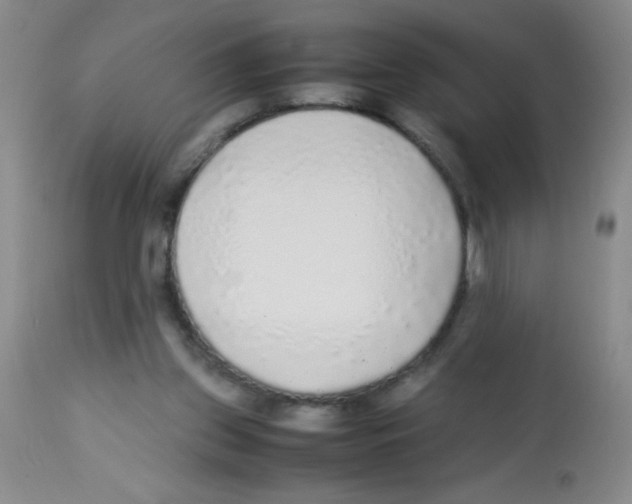 X0000113220157200910221132