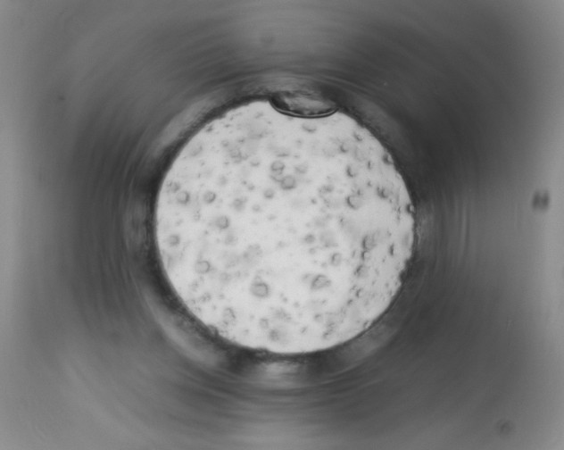X0000113220158200910221132