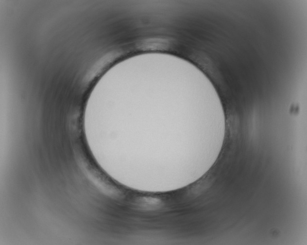 X0000113220159200910221132