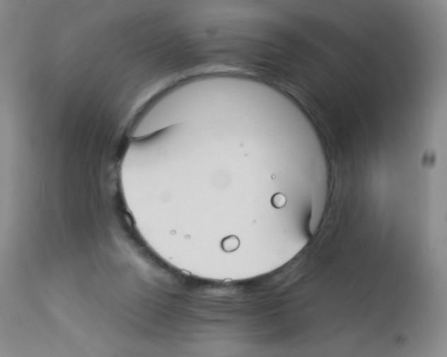 X0000113220160200910221132