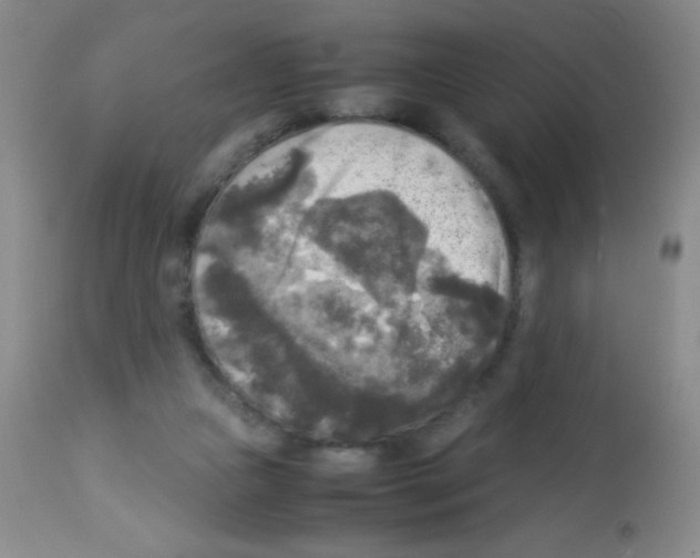 X0000113220161200910221132