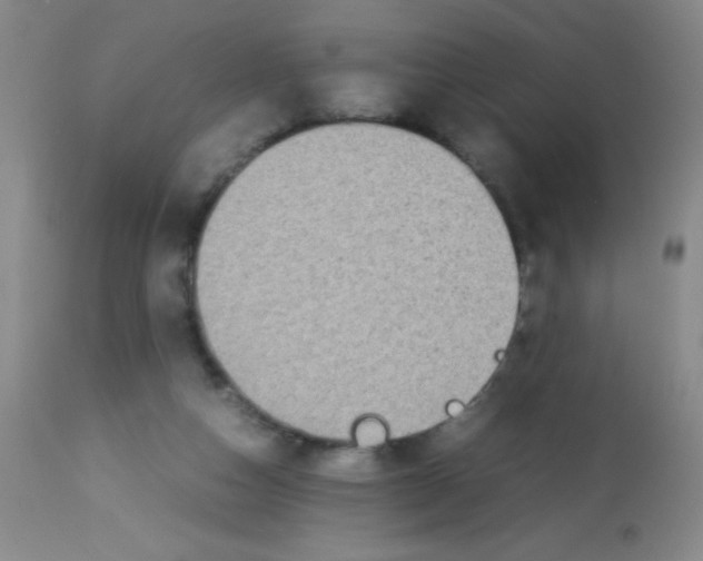X0000113220162200910221132