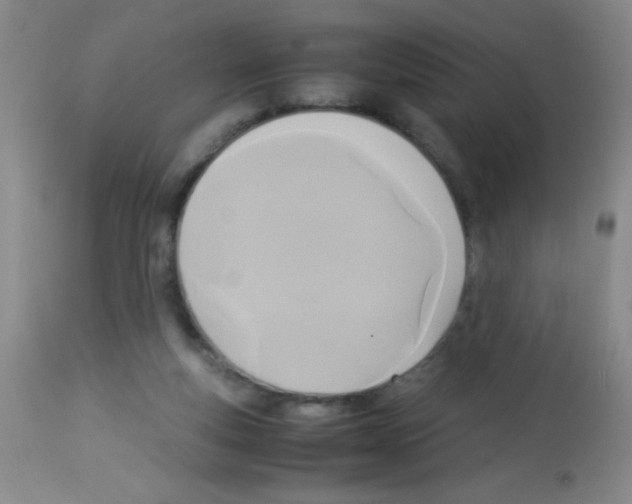 X0000113220163200910221132