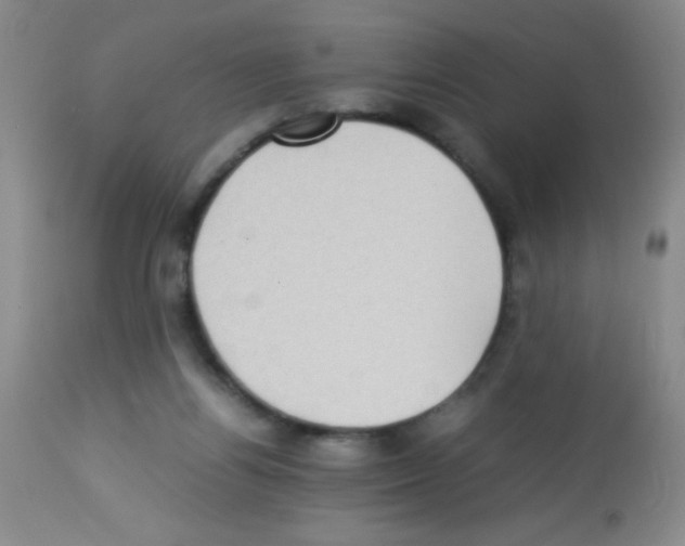 X0000113220164200910221132