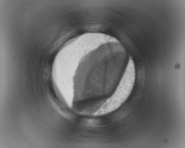 X0000113220165200910221132