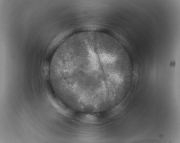 X0000113220166200910221132