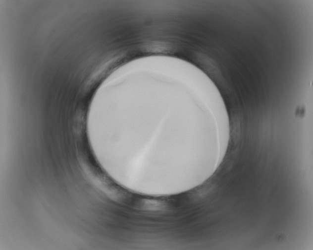 X0000113220167200910221132