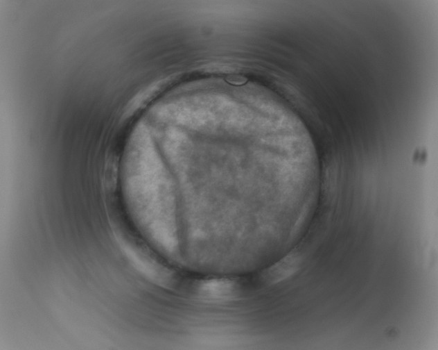 X0000113220168200910221132