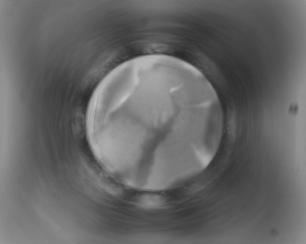 X0000113220169200910221132