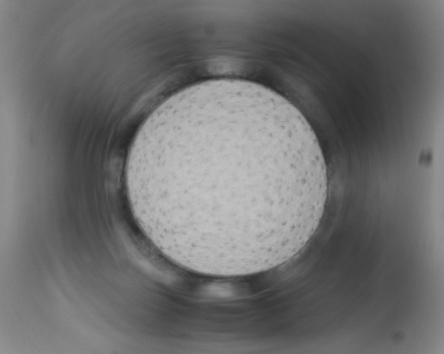 X0000113220171200910221132