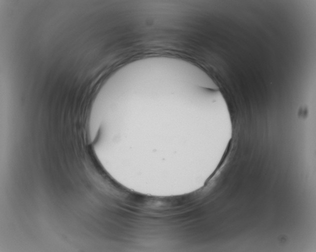 X0000113220174200910221132