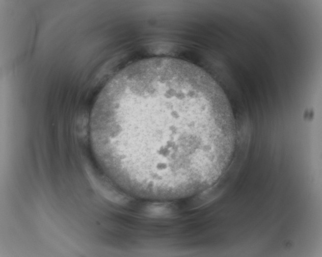 X0000113220175200910221132