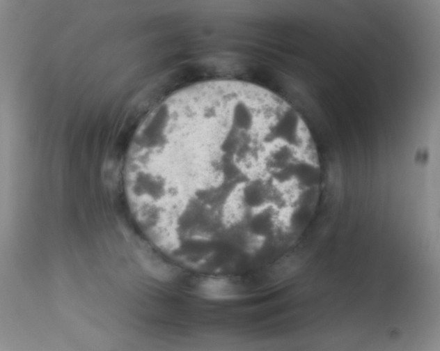 X0000113220177200910221132