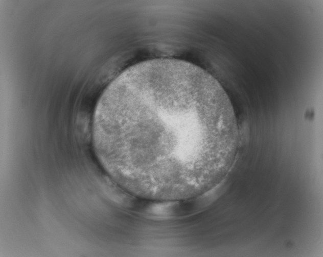 X0000113220178200910221132