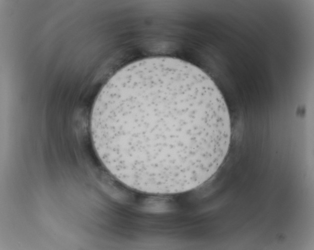 X0000113220179200910221132