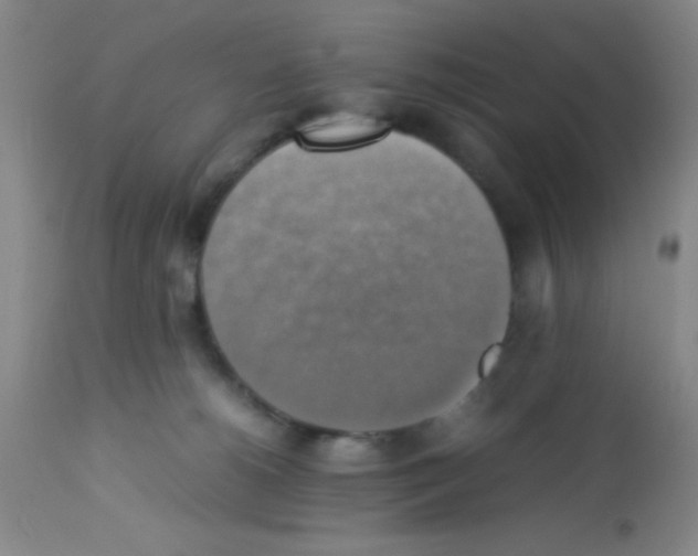 X0000113220180200910221132