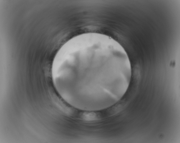 X0000113220181200910221132