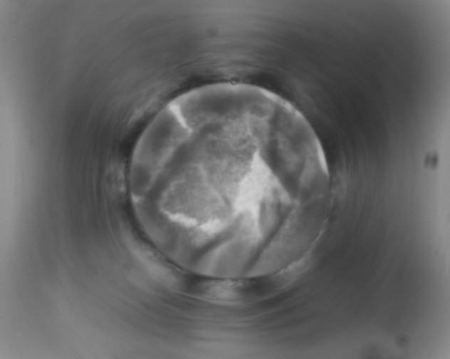 X0000113220182200910221132