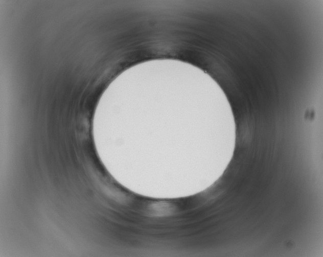 X0000113220183200910221133