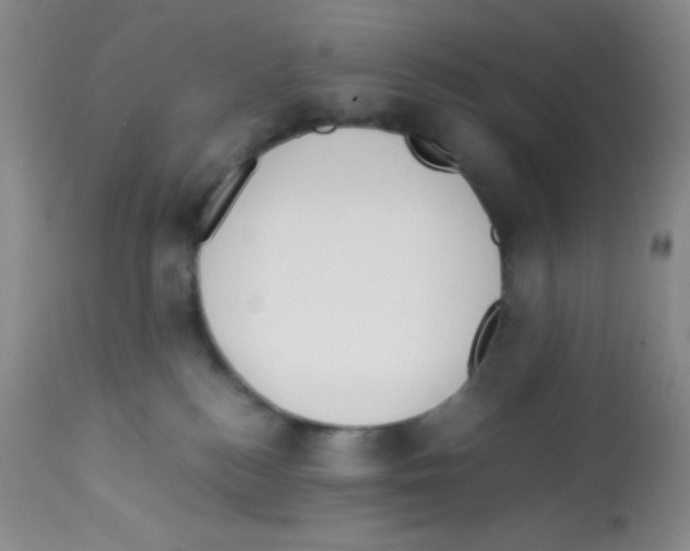X0000113220184200910221133