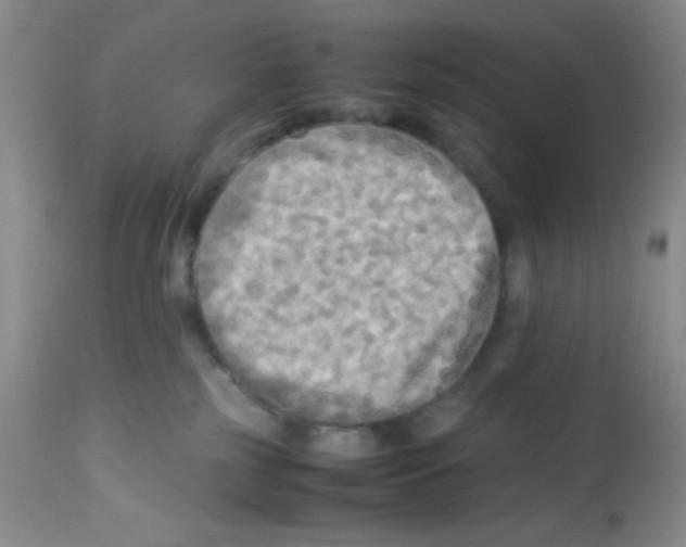 X0000113220185200910221133