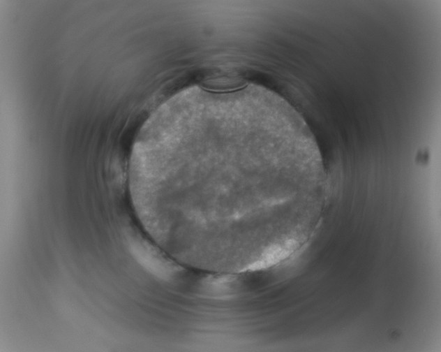 X0000113220186200910221133